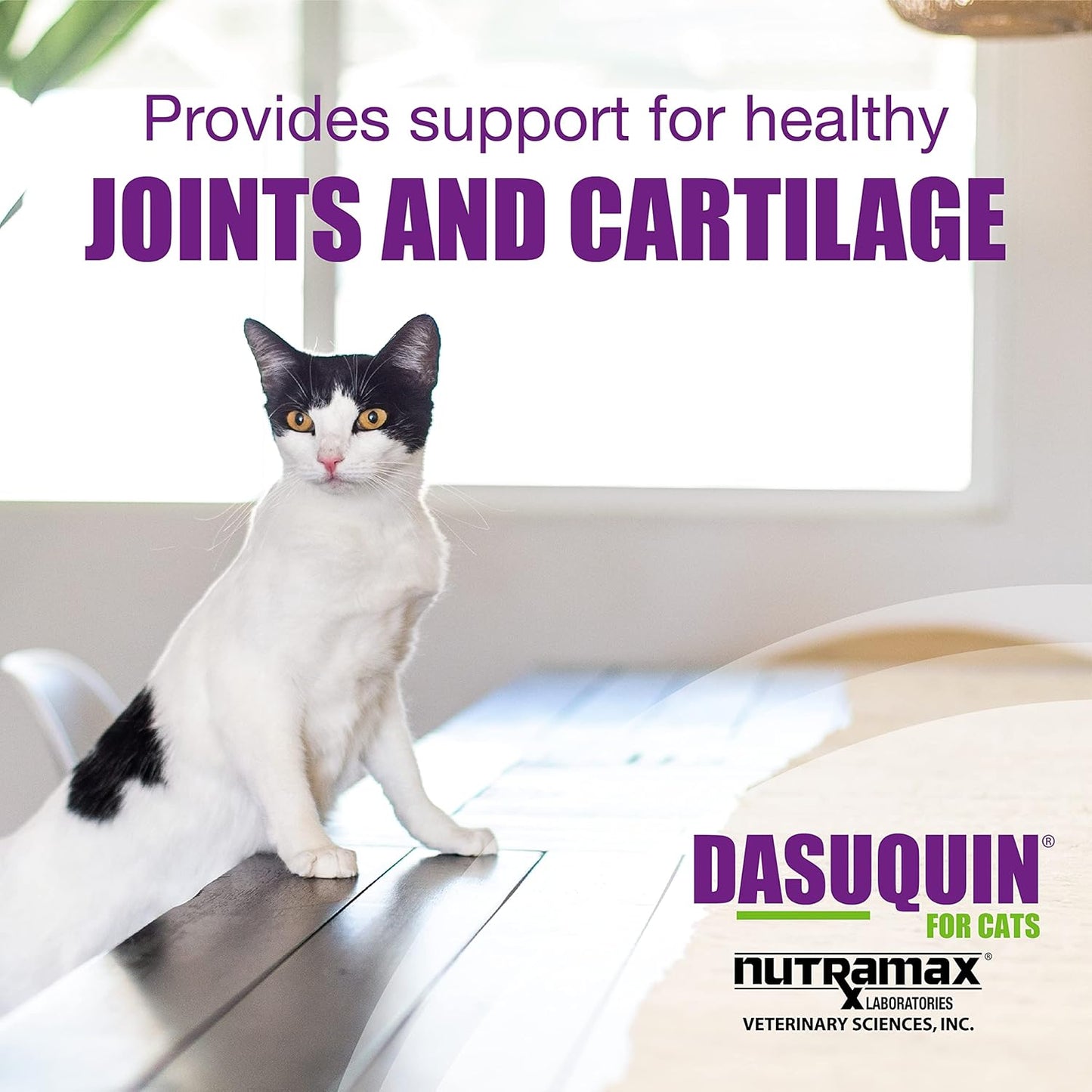 Dasuquin Joint Health Supplement for Cats